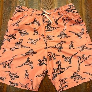 Dinosaur boy swim trunks